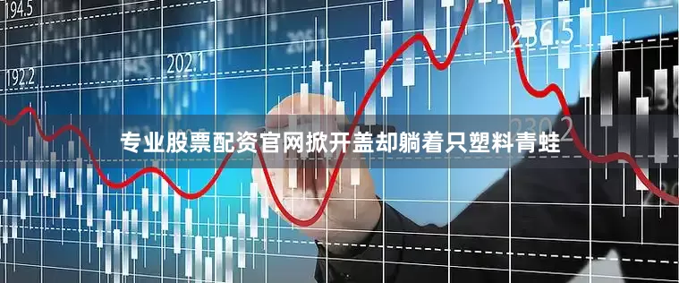 专业股票配资官网掀开盖却躺着只塑料青蛙