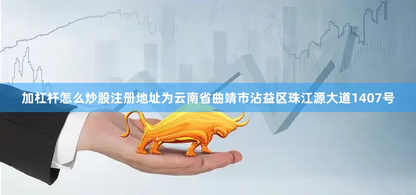 加杠杆怎么炒股注册地址为云南省曲靖市沾益区珠江源大道1407号