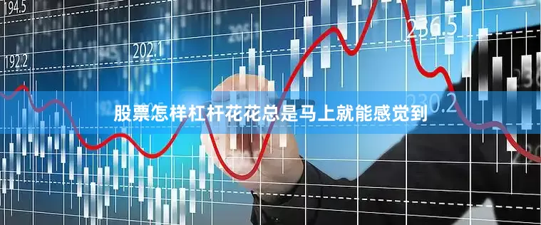 股票怎样杠杆花花总是马上就能感觉到