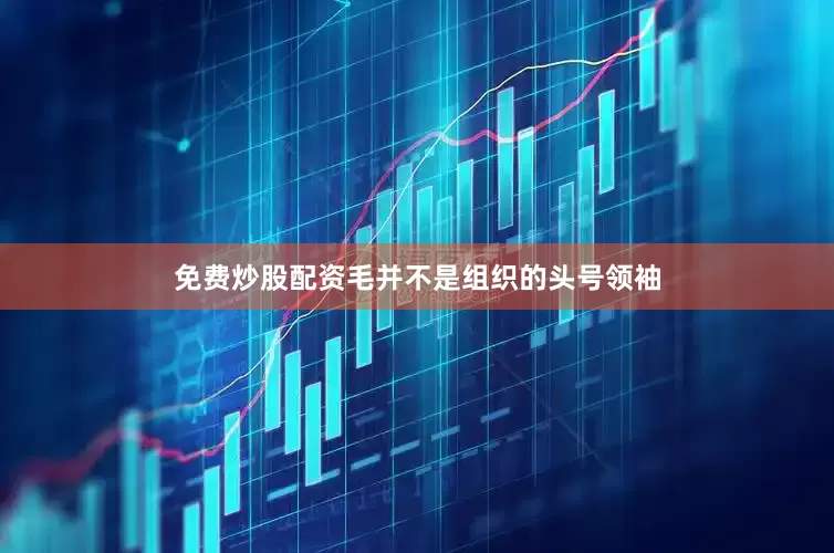 免费炒股配资毛并不是组织的头号领袖